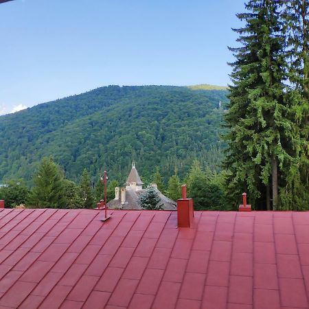 Apartament Cozy Loft At Teleferic Sinaia Zewnętrze zdjęcie