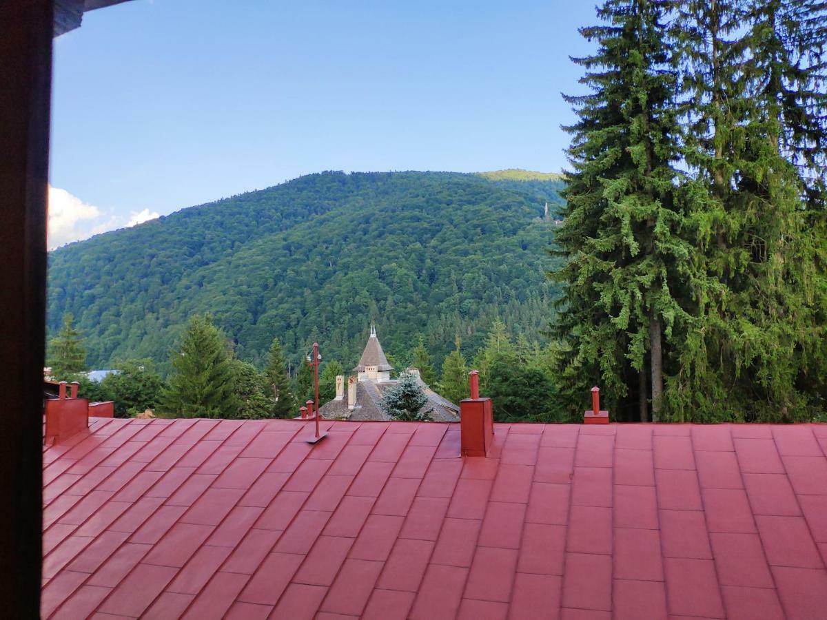 Apartament Cozy Loft At Teleferic Sinaia Zewnętrze zdjęcie