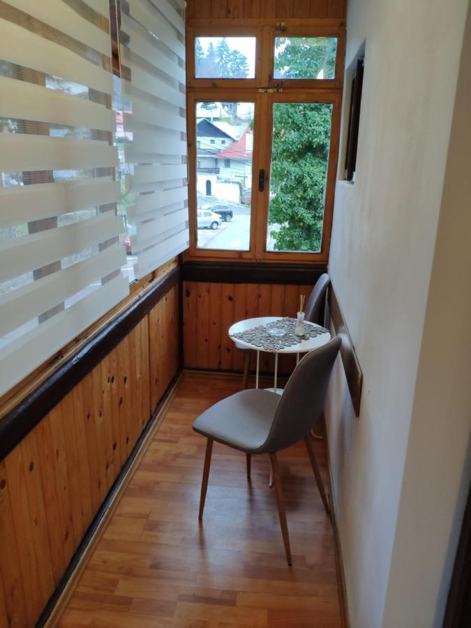 Apartament Cozy Loft At Teleferic Sinaia Zewnętrze zdjęcie